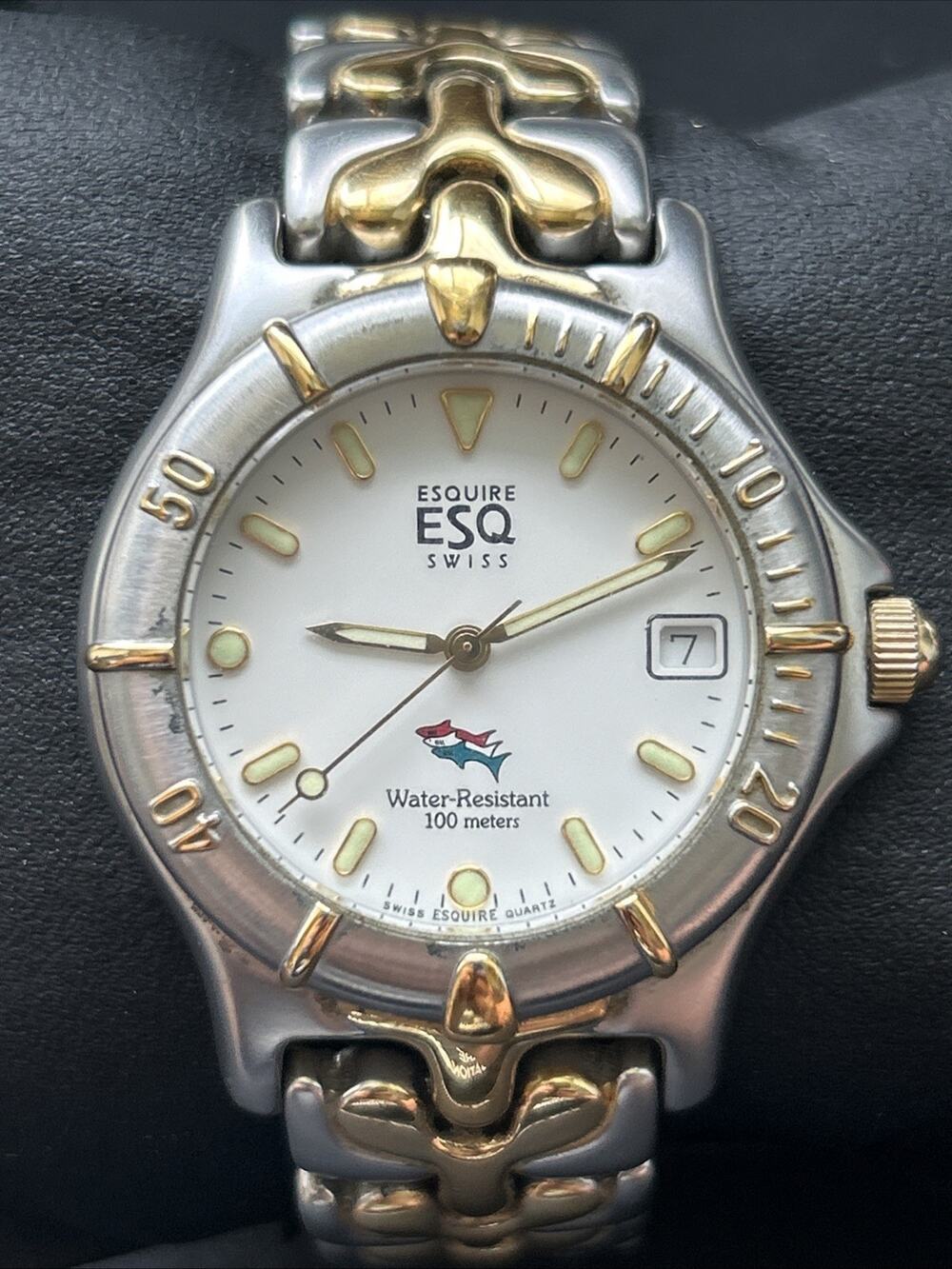 Esquire ESQ By Movado Men’s Swiss Quartz Watch